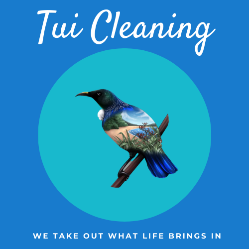 Logo Tui Cleaning