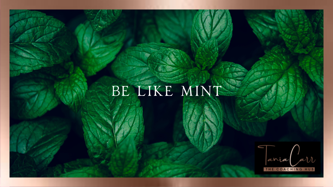 Be Like Mint